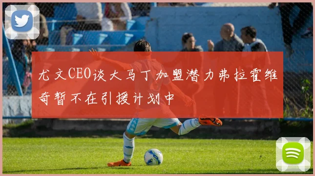 尤文CEO谈大马丁加盟潜力弗拉霍维奇暂不在引援计划中