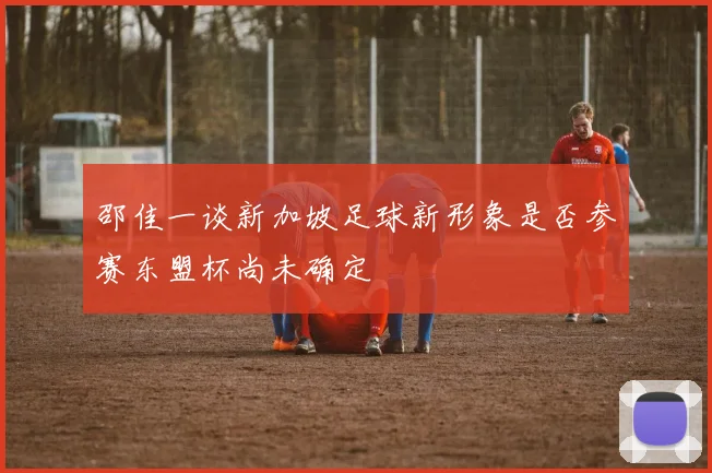 邵佳一谈新加坡足球新形象是否参赛东盟杯尚未确定